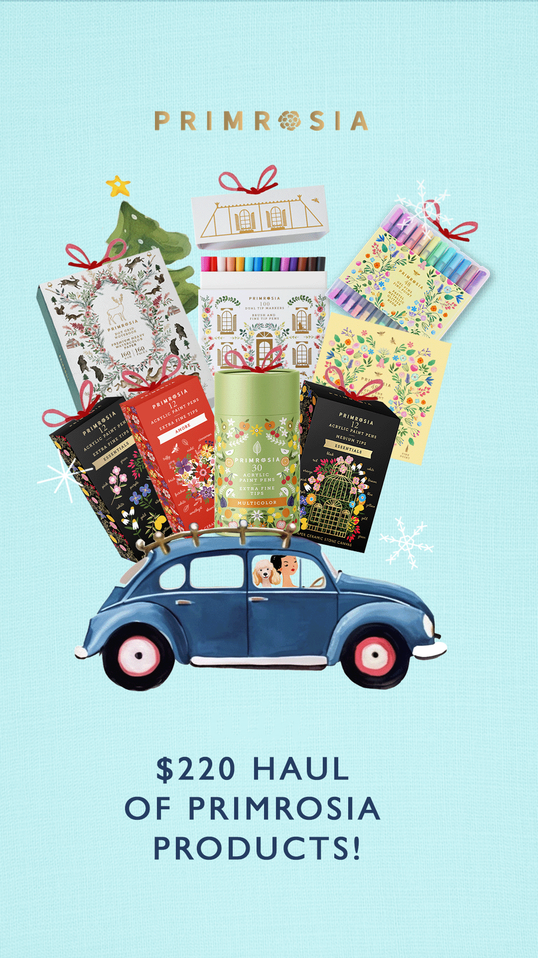 Enter our Christmas Haul Contest