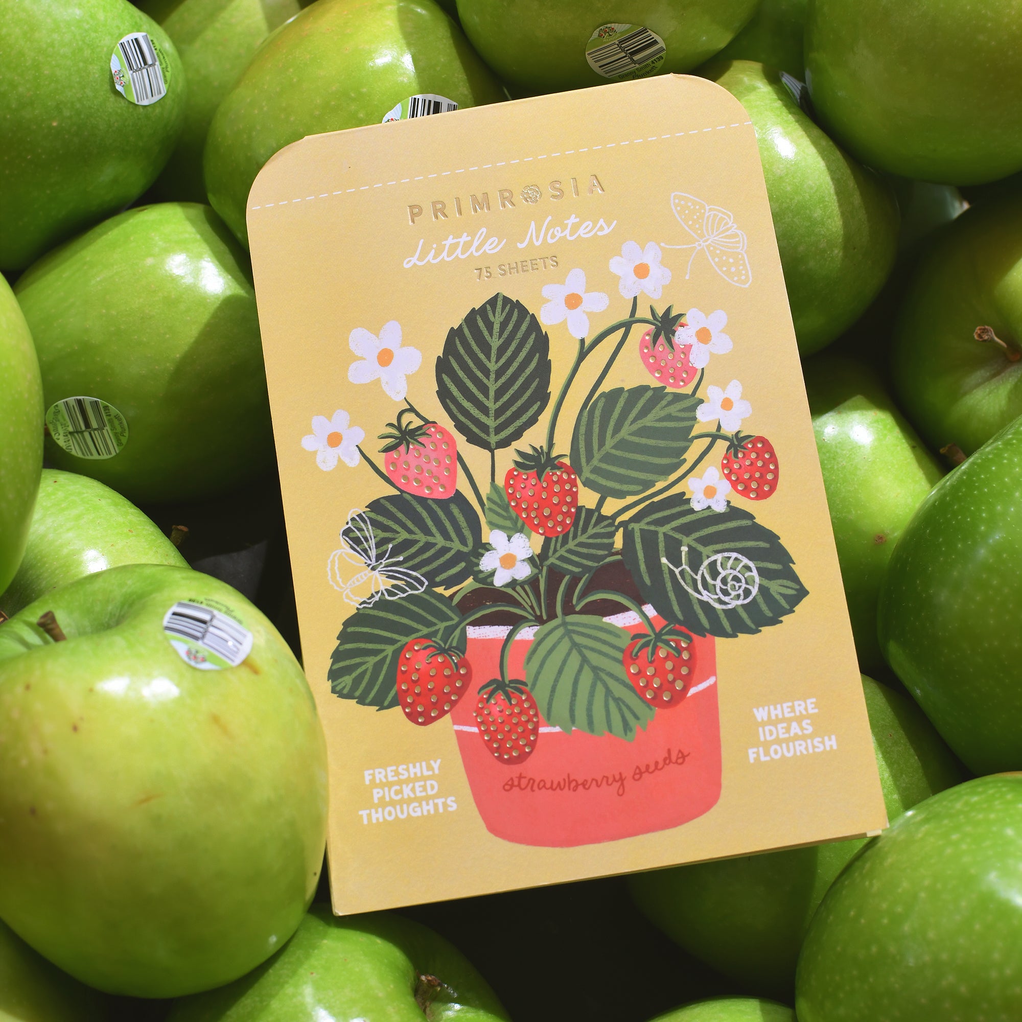 'Berry Seeds' Notepad